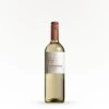 Terra Noble Classic Sauvignon Blanc - Sauvignon Blanc -Boutique Winery image large 1556